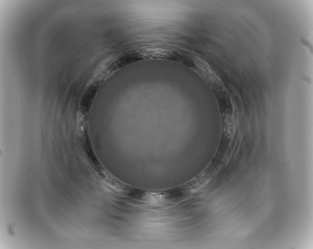 X0000096420701200801241317