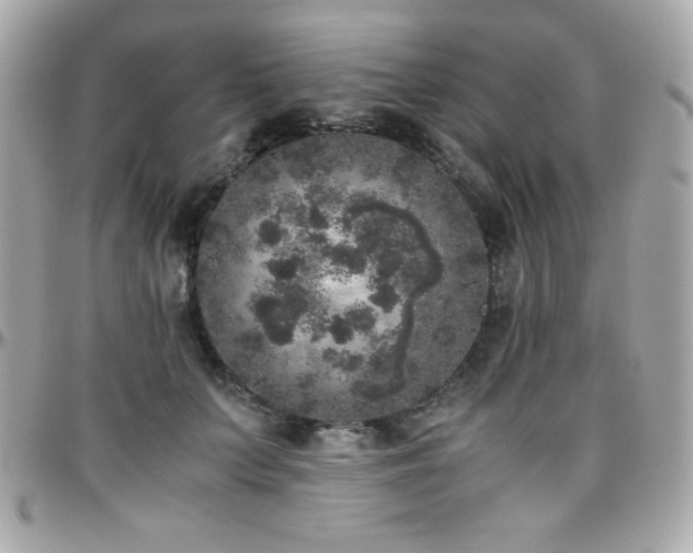X0000096420703200801241317