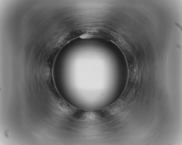 X0000096420704200801241317