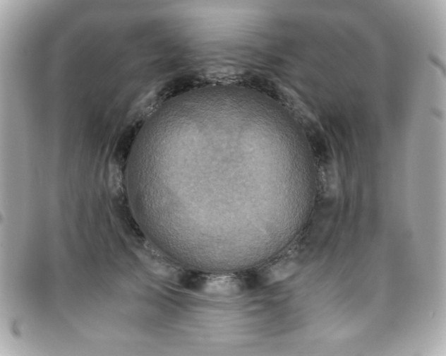 X0000096420705200801241317