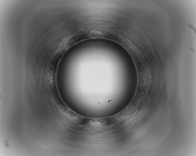 X0000096420706200801241317