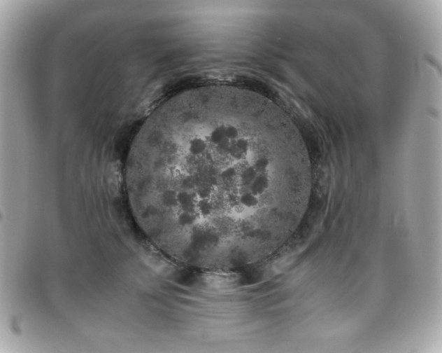 X0000096420707200801241317