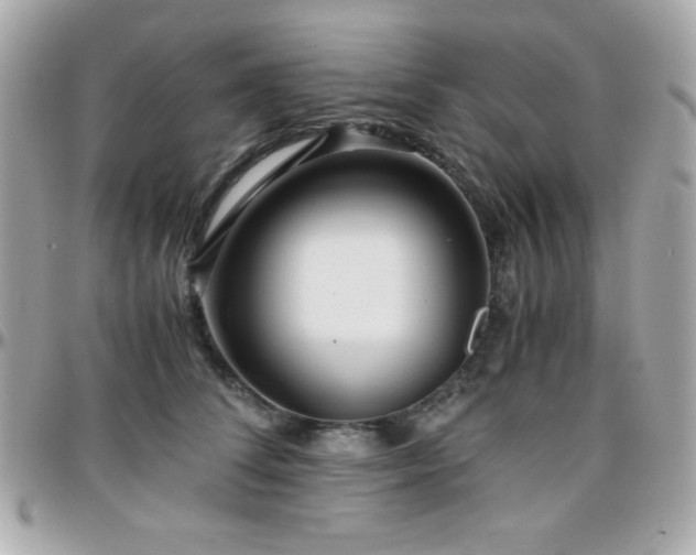 X0000096420708200801241317