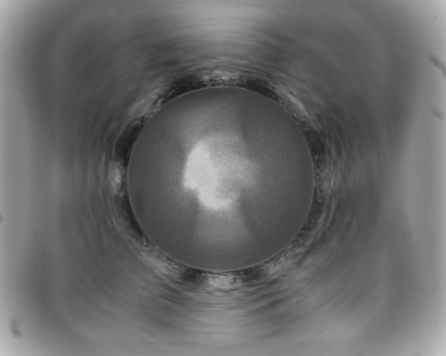 X0000096420709200801241317