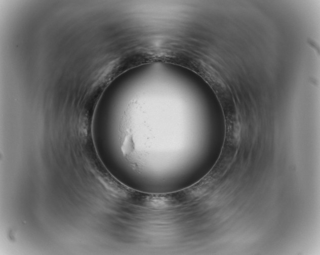 X0000096420710200801241317