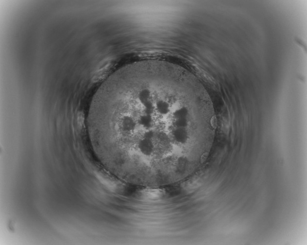 X0000096420711200801241317