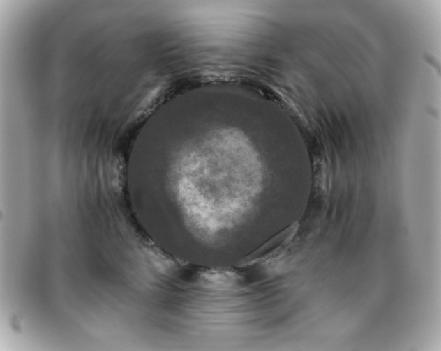 X0000096420712200801241317