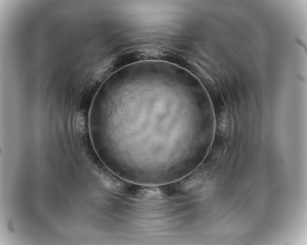 X0000096420715200801241317