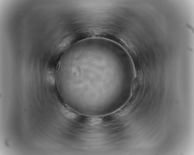 X0000096420719200801241317
