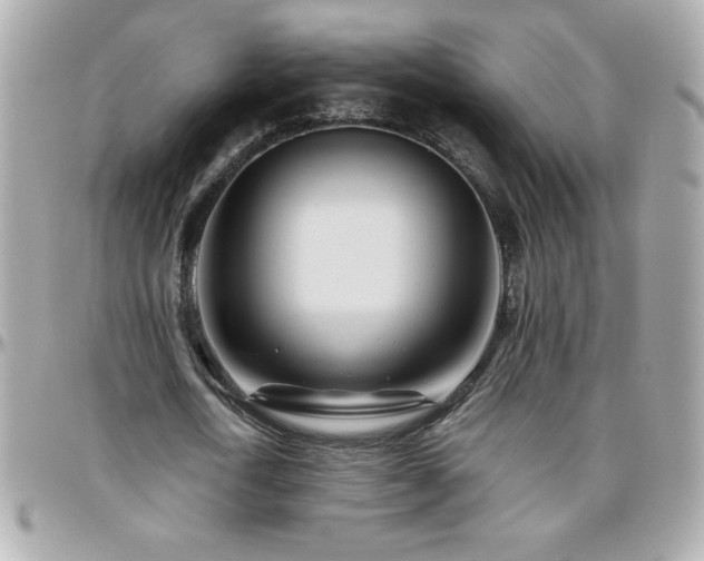 X0000096420722200801241316