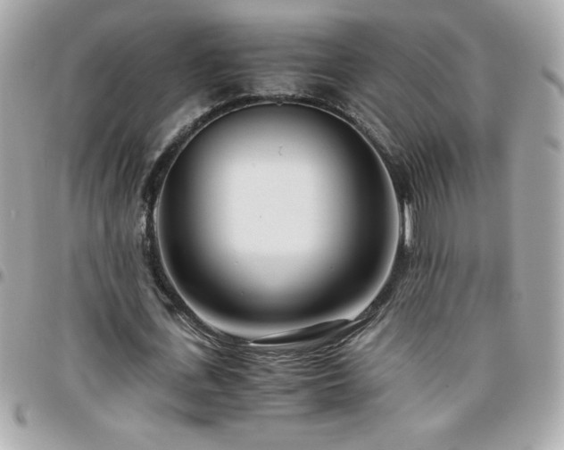 X0000096420723200801241316