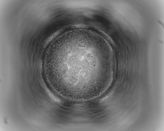 X0000096420725200801241316