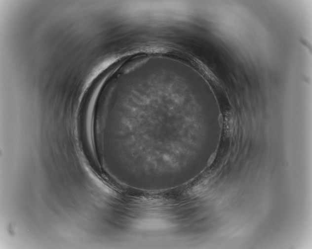 X0000096420726200801241316