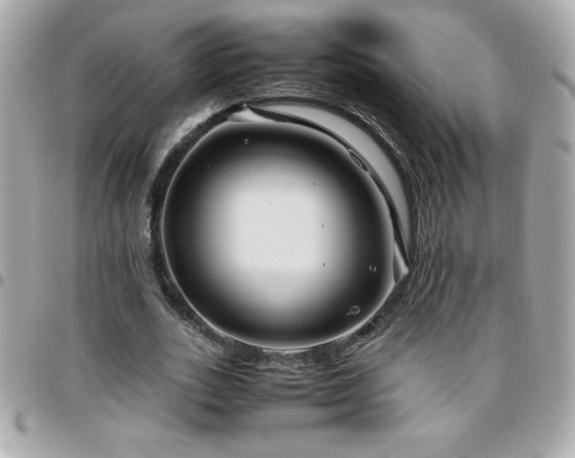 X0000096420727200801241316