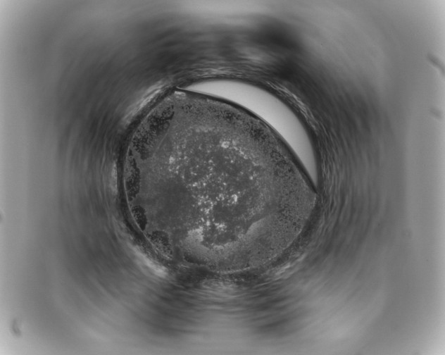 X0000096420729200801241316