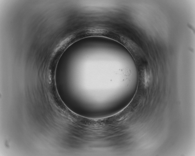 X0000096420731200801241316