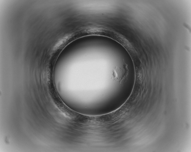X0000096420732200801241316