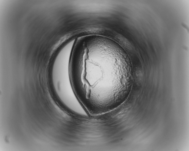 X0000096420734200801241316