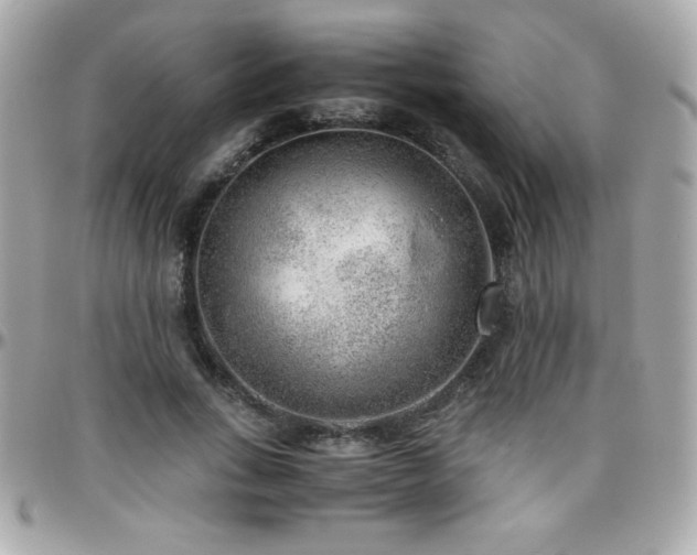 X0000096420735200801241316