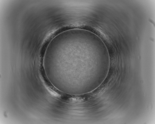 X0000096420736200801241316