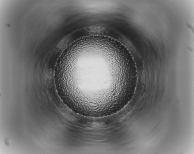 X0000096420737200801241316