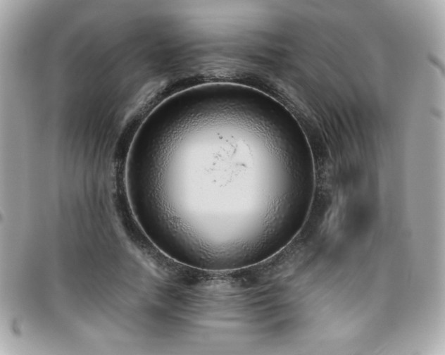 X0000096420738200801241316