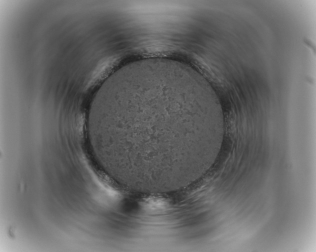 X0000096420742200801241316