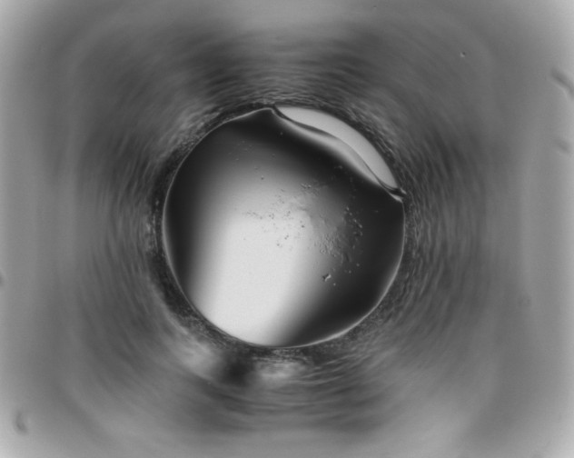 X0000096420743200801241316
