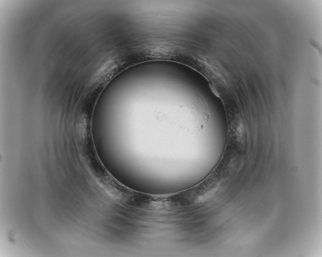 X0000096420744200801241316