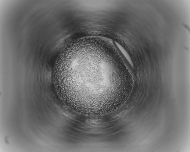 X0000096420745200801241316