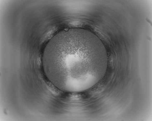 X0000096420746200801241316