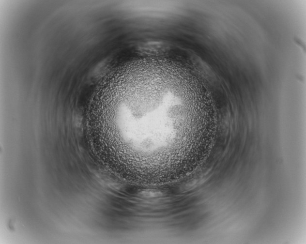 X0000096420749200801241316