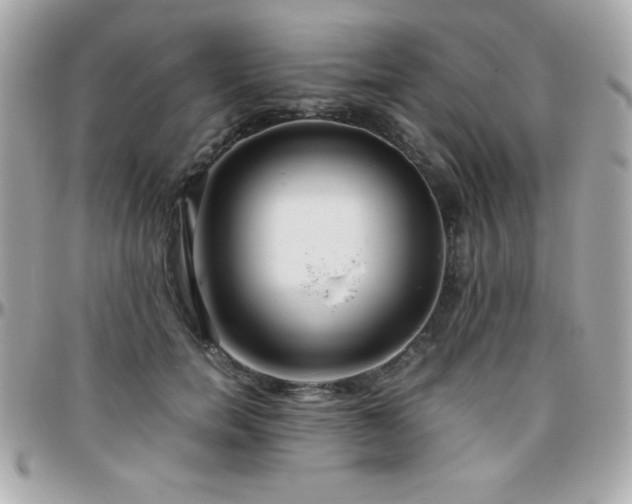 X0000096420750200801241316