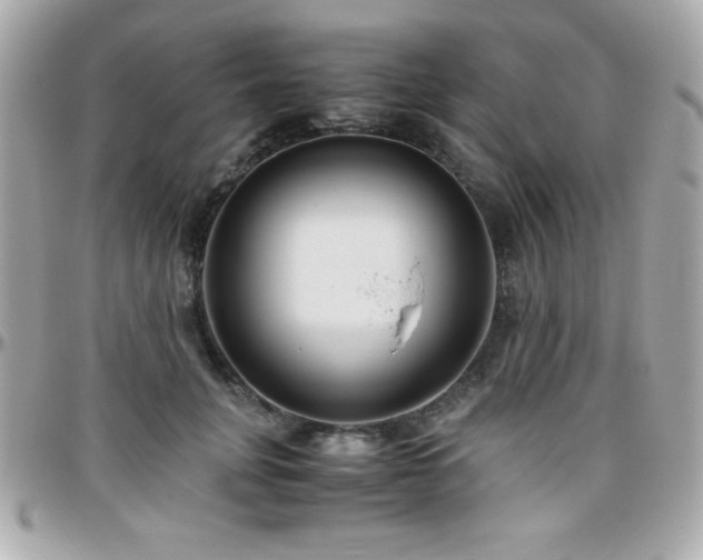 X0000096420751200801241316