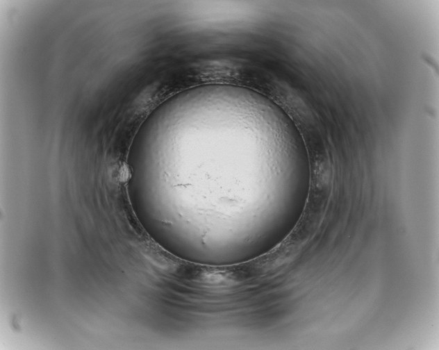 X0000096420753200801241317