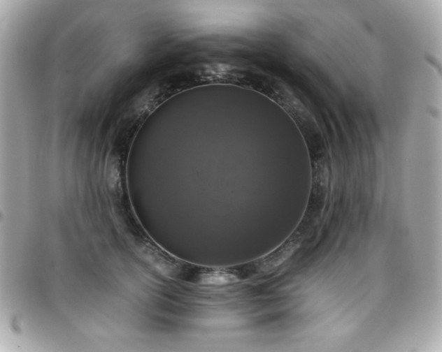X0000096420754200801241317
