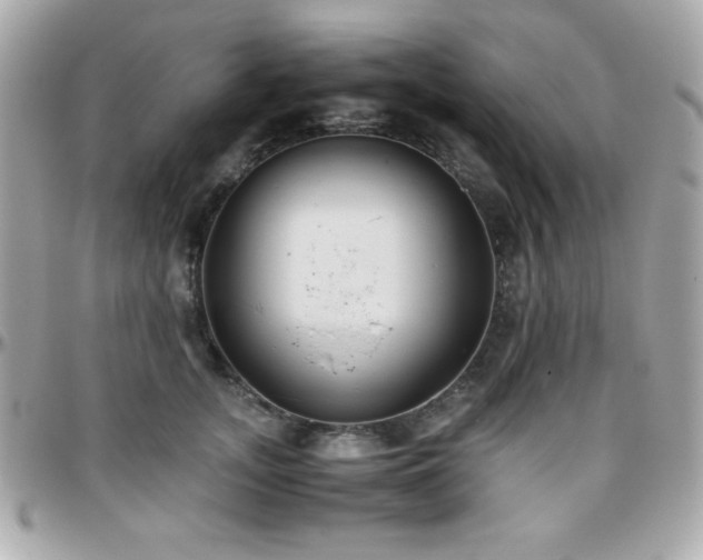 X0000096420755200801241317