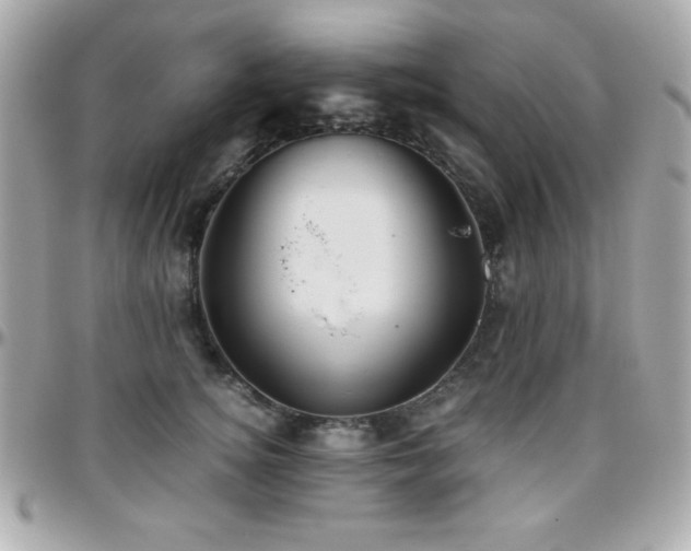 X0000096420756200801241317
