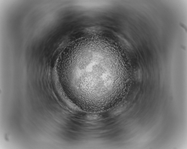 X0000096420757200801241317