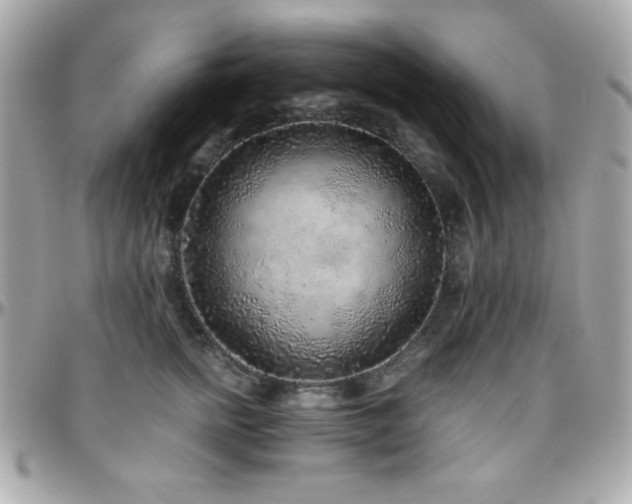 X0000096420758200801241317