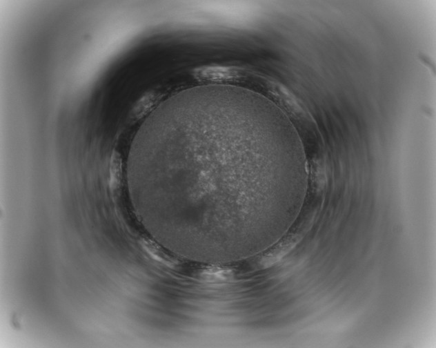 X0000096420760200801241317