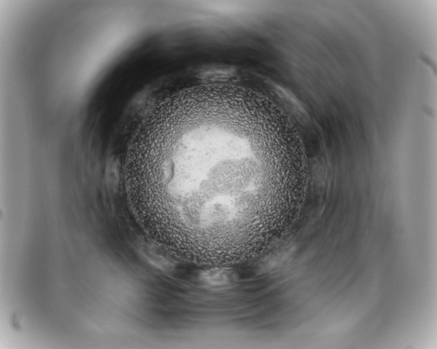 X0000096420761200801241317