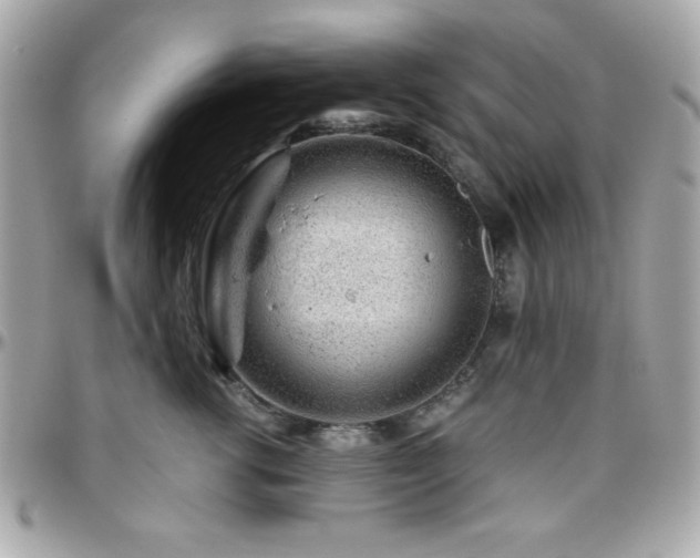 X0000096420762200801241317