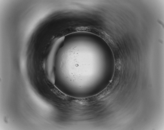 X0000096420763200801241317
