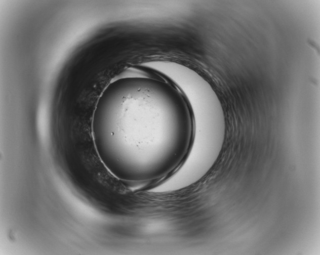 X0000096420764200801241317
