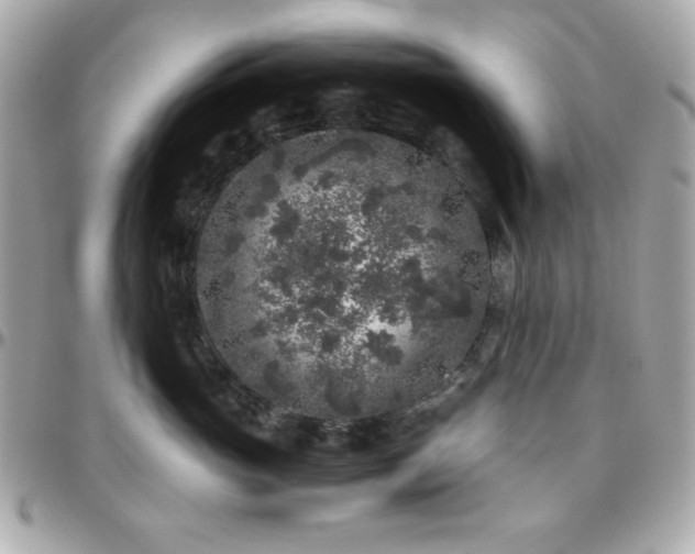 X0000096420765200801241317