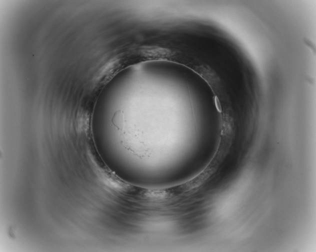 X0000096420767200801241317