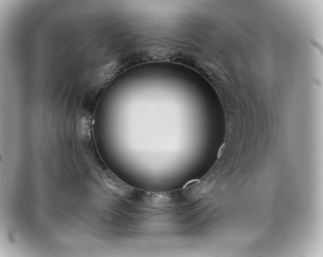 X0000096420768200801241317