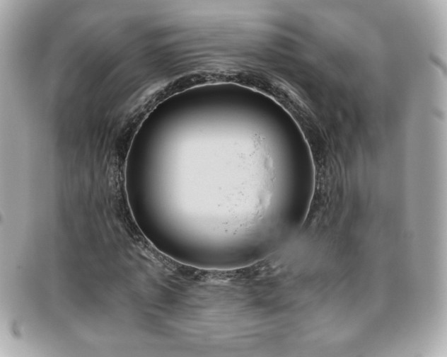 X0000096420773200801241316