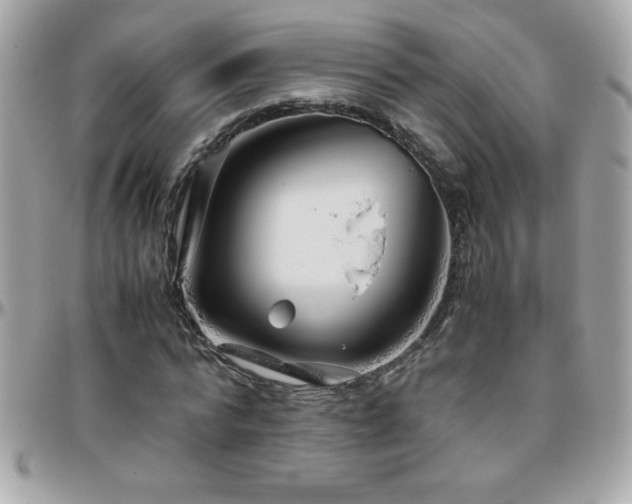 X0000096420776200801241316